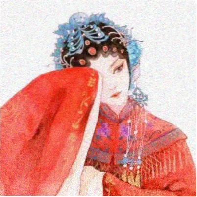 读者北岛的风的头像